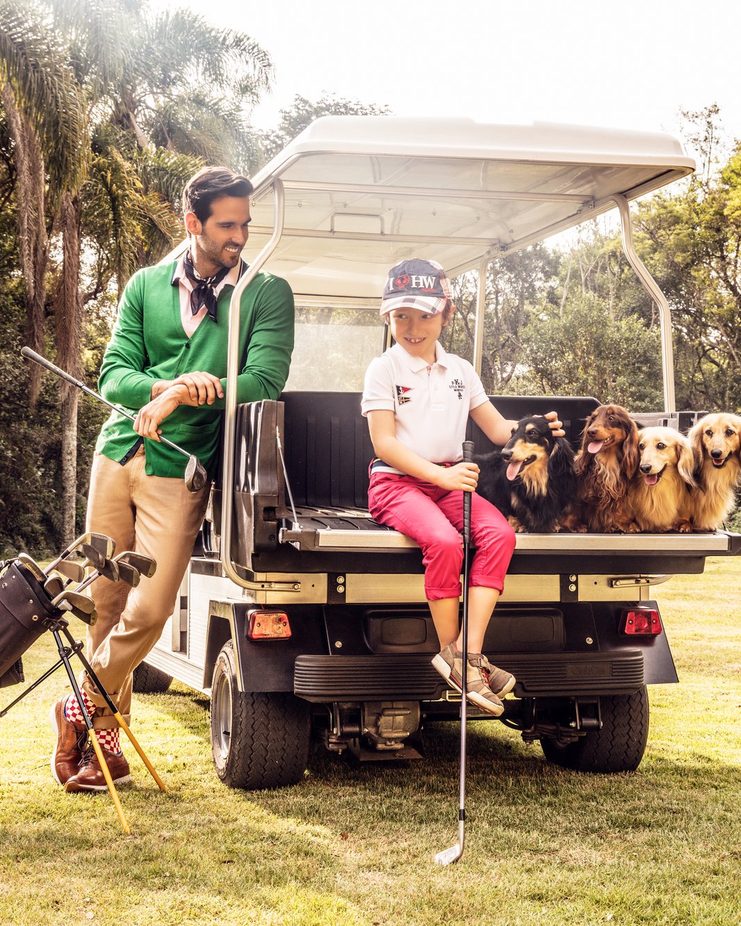 Dachshund Pelo Longo do Clube Salatino - características da raça