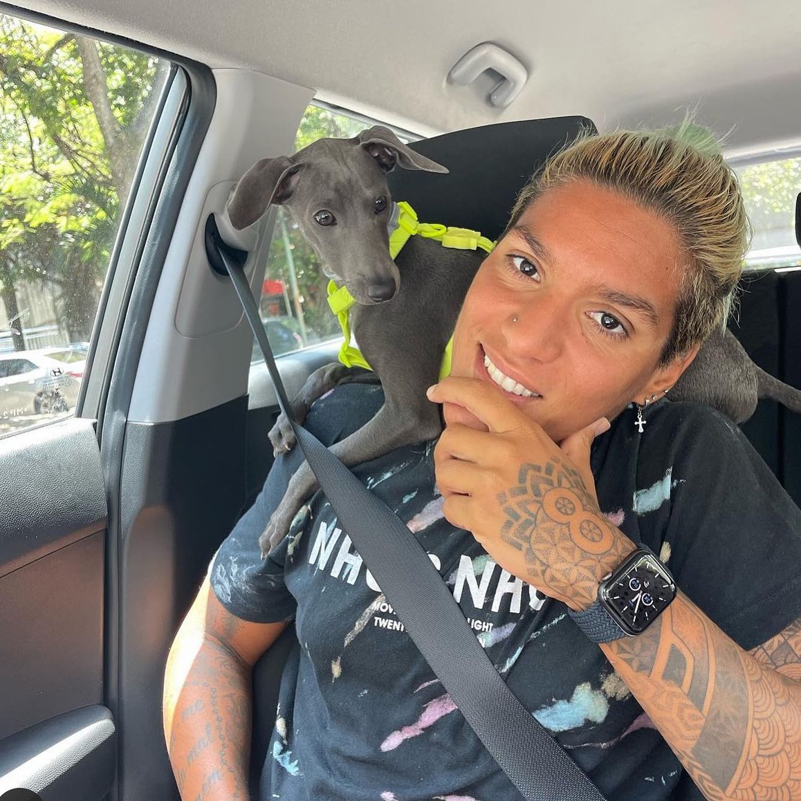 Galgo Italiano Salatino - Foto 3 da galeria de cães