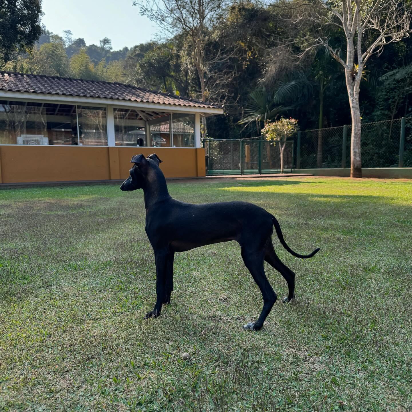 Área verde do Hotel Salatino